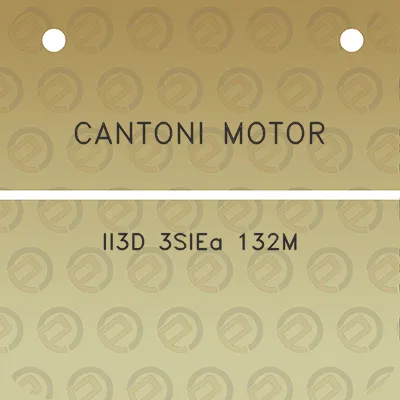 cantoni-motor-ii3d-3siea-132m