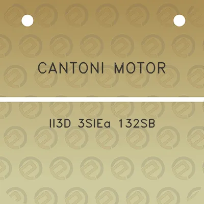 cantoni-motor-ii3d-3siea-132sb