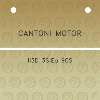 cantoni-motor-ii3d-3siea-90s