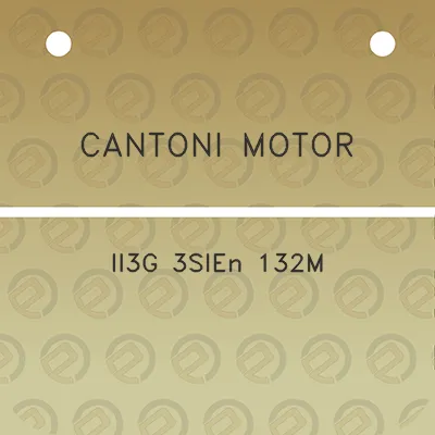 cantoni-motor-ii3g-3sien-132m