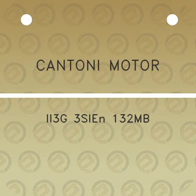 cantoni-motor-ii3g-3sien-132mb