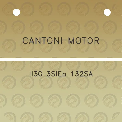 cantoni-motor-ii3g-3sien-132sa