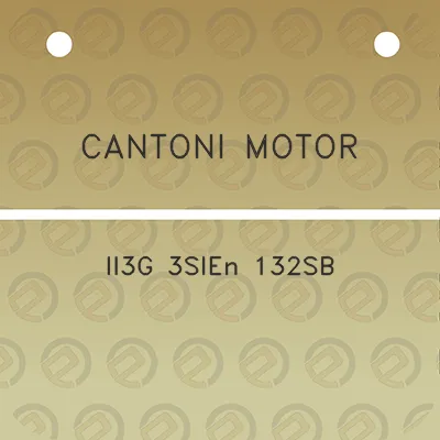 cantoni-motor-ii3g-3sien-132sb