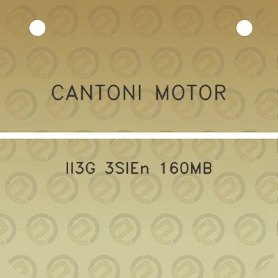 cantoni-motor-ii3g-3sien-160mb