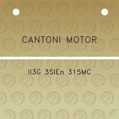 cantoni-motor-ii3g-3sien-315mc