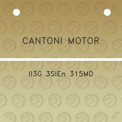 cantoni-motor-ii3g-3sien-315md