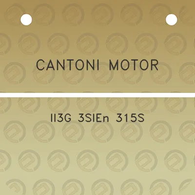 cantoni-motor-ii3g-3sien-315s