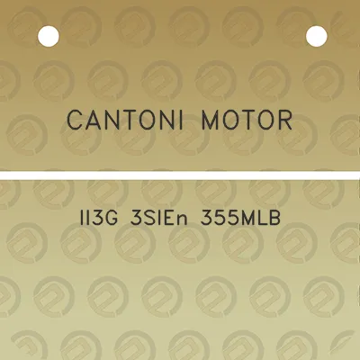 cantoni-motor-ii3g-3sien-355mlb