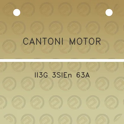 cantoni-motor-ii3g-3sien-63a