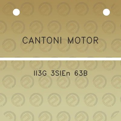 cantoni-motor-ii3g-3sien-63b