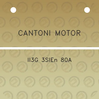 cantoni-motor-ii3g-3sien-80a