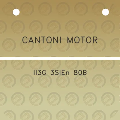 cantoni-motor-ii3g-3sien-80b