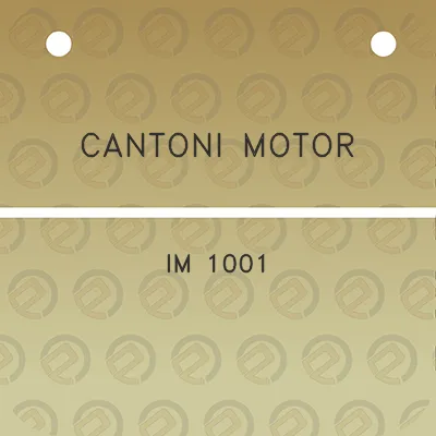 cantoni-motor-im-1001