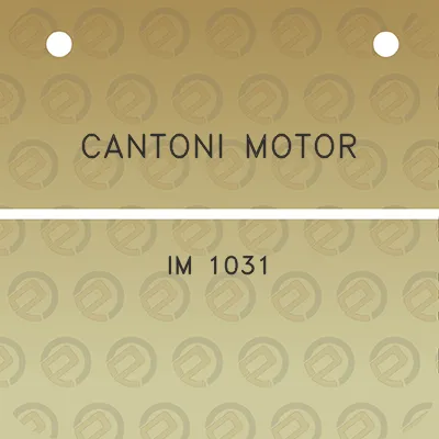 cantoni-motor-im-1031