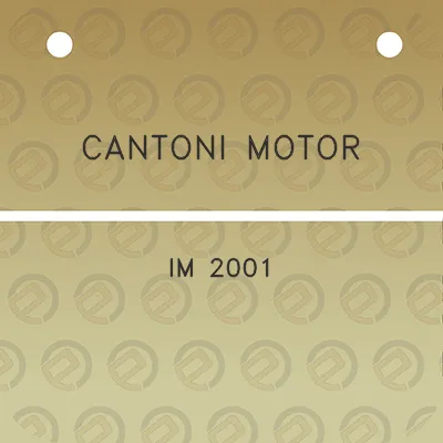 cantoni-motor-im-2001