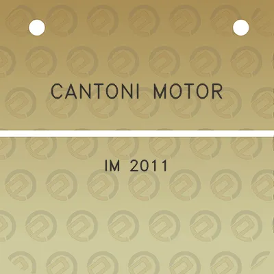 cantoni-motor-im-2011