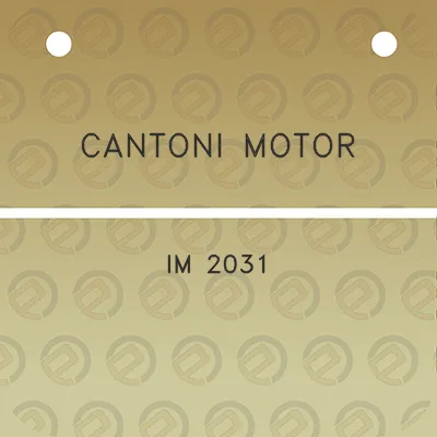 cantoni-motor-im-2031