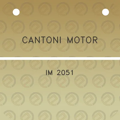 cantoni-motor-im-2051