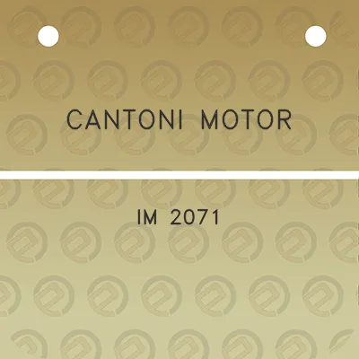 cantoni-motor-im-2071