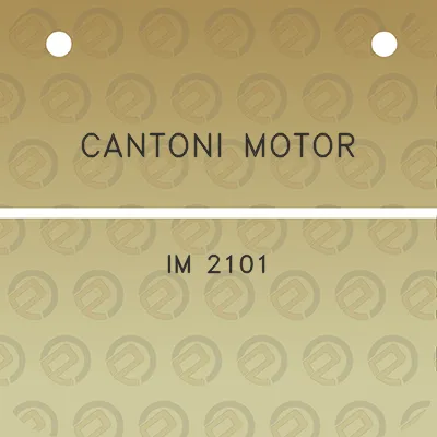 cantoni-motor-im-2101