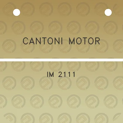 cantoni-motor-im-2111