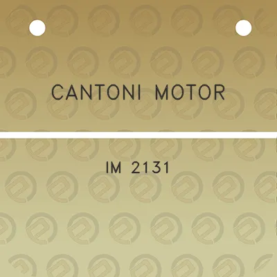 cantoni-motor-im-2131