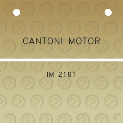 cantoni-motor-im-2161