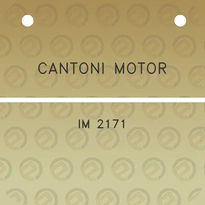 cantoni-motor-im-2171