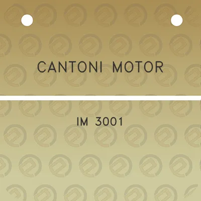 cantoni-motor-im-3001