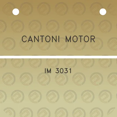 cantoni-motor-im-3031