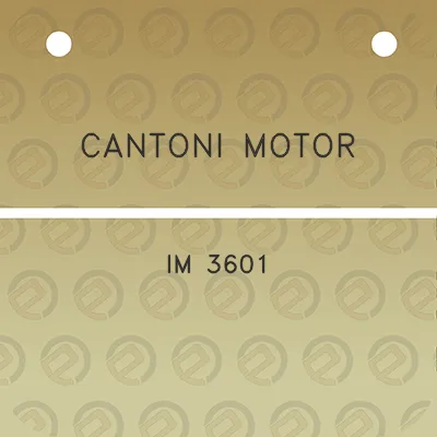 cantoni-motor-im-3601