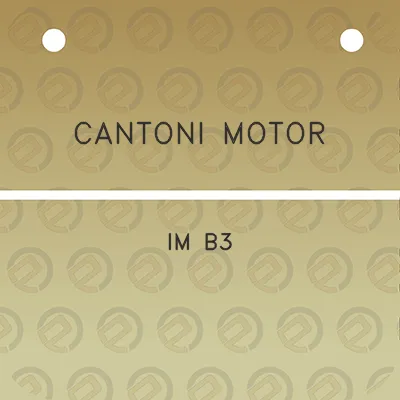 cantoni-motor-im-b3