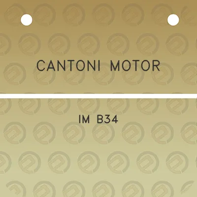 cantoni-motor-im-b34