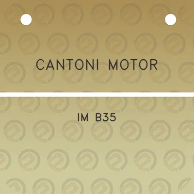 cantoni-motor-im-b35