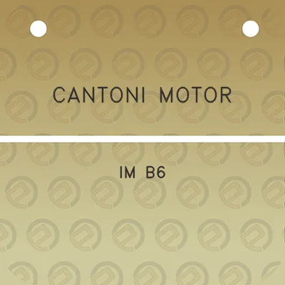 cantoni-motor-im-b6