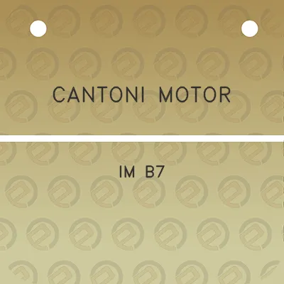 cantoni-motor-im-b7