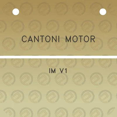 cantoni-motor-im-v1