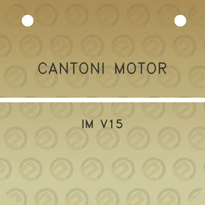 cantoni-motor-im-v15