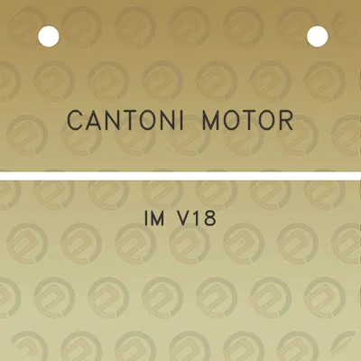 cantoni-motor-im-v18