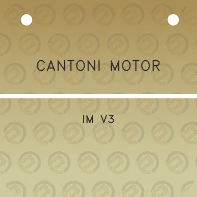 cantoni-motor-im-v3