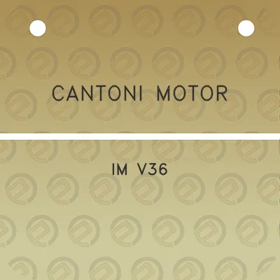 cantoni-motor-im-v36