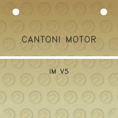 cantoni-motor-im-v5