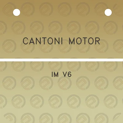 cantoni-motor-im-v6