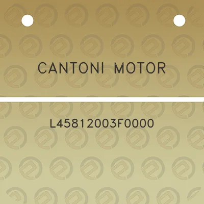 cantoni-motor-l45812003f0000