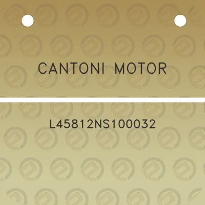 cantoni-motor-l45812ns100032