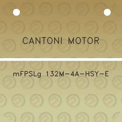 cantoni-motor-mfpslg-132m-4a-hsy-e