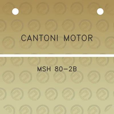 cantoni-motor-msh-80-2b