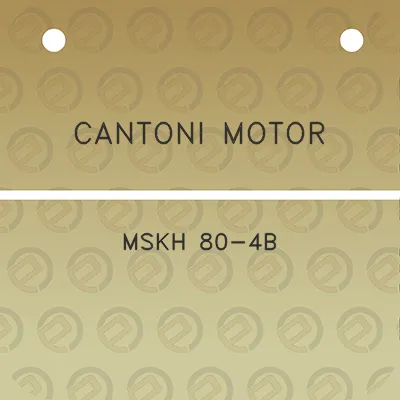 cantoni-motor-mskh-80-4b