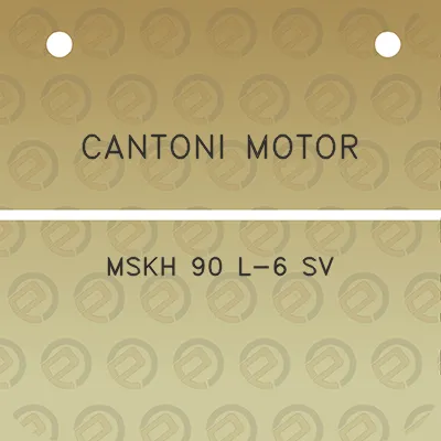 cantoni-motor-mskh-90-l-6-sv