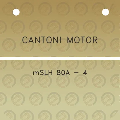 cantoni-motor-mslh-80a-4